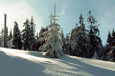 Turbacz 28-31 Stycznia 2008 #Matys #turbacz #podhale #gorce #gpn #czolo #turbacza