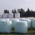 naturalny widok