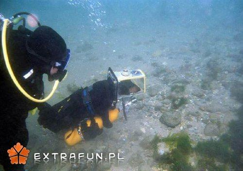 extrafun