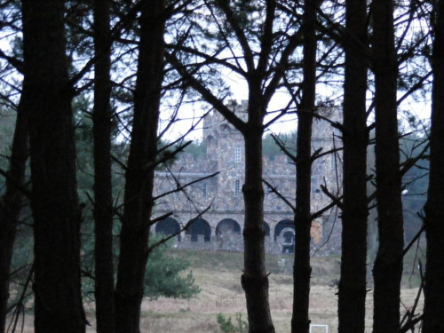 zamek w lesie #zamek