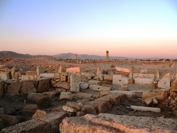 Palmyra