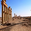 Palmyra