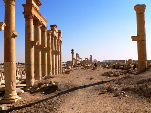 Palmyra