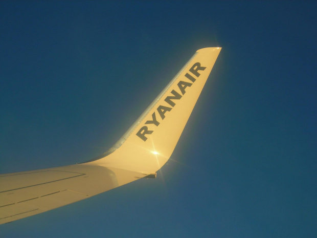 winglet
