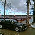 kaktus bmw #DodajTagiDoZdjęcia