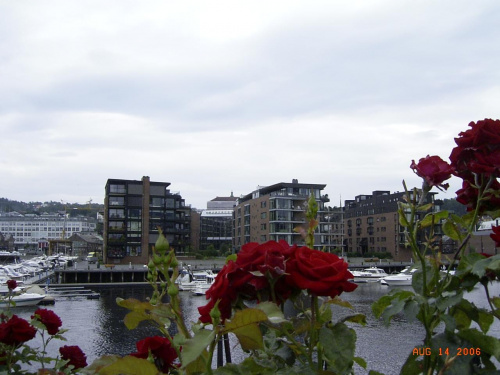 ponownie Trondheim-centrum miasta