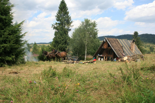 #Bieszczady