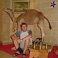 Zdjęcie z camelem SSH:foto with camel