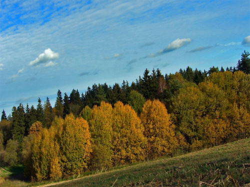 jadac z Lidzbarka do Bartoszyc