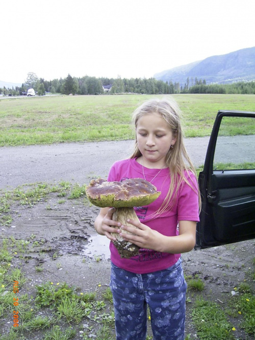 Norwegia,Szwecja-powrót do kraju