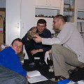 VII OSM 2008