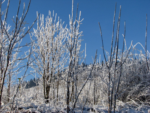 zima w górach #przyroda #natura #karkonosze #zima #drzewa #góry #niebo #krajobraz