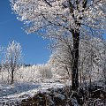 zima w górach #przyroda #natura #karkonosze #zima #drzewa #góry #niebo #krajobraz