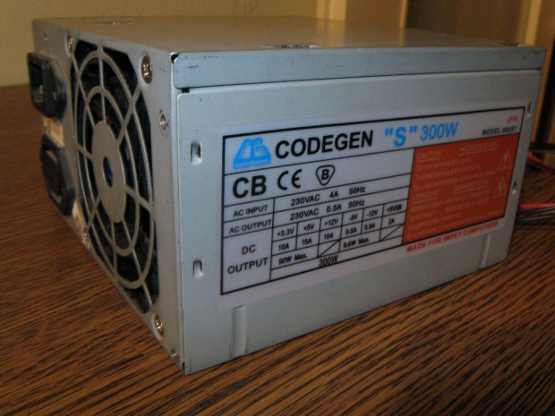 Codegen 300W