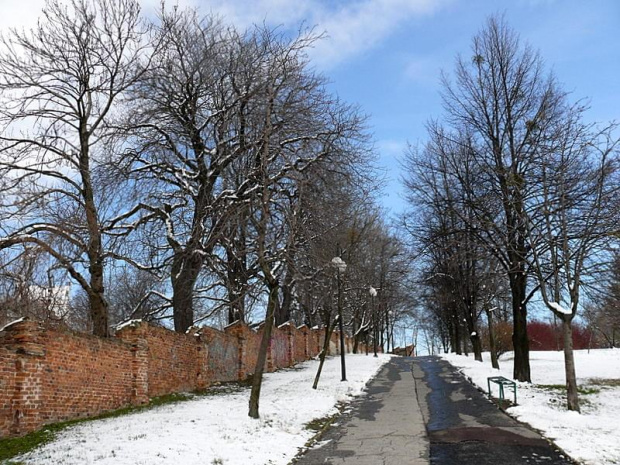 Zdjęcia przedstawiają park i Bazylikę w Chełmie.