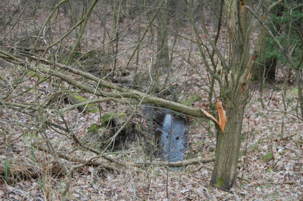 okolice Legnicy- Pawłowice, Czerwony Kościół, Zimna Woda, Raszowa, Raszówka, Mała Rasowa, Szczytniki nad Kaczawą itd #OkoliceLegnicy