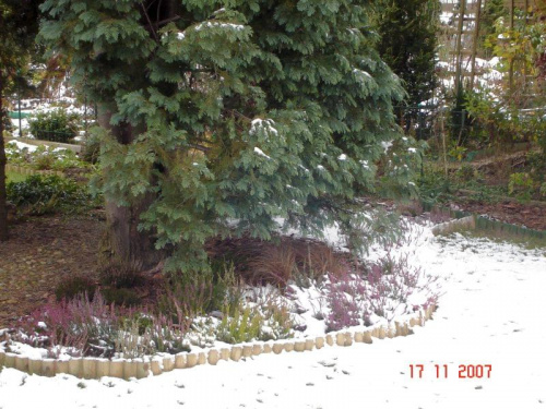 Działka zimą XI 2007