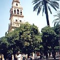 Cordoba - Mezquita #Hiszpania #madryt #barcelona #toledo #cordoba #granada #gibraltar #CostaBrava #andaluzja