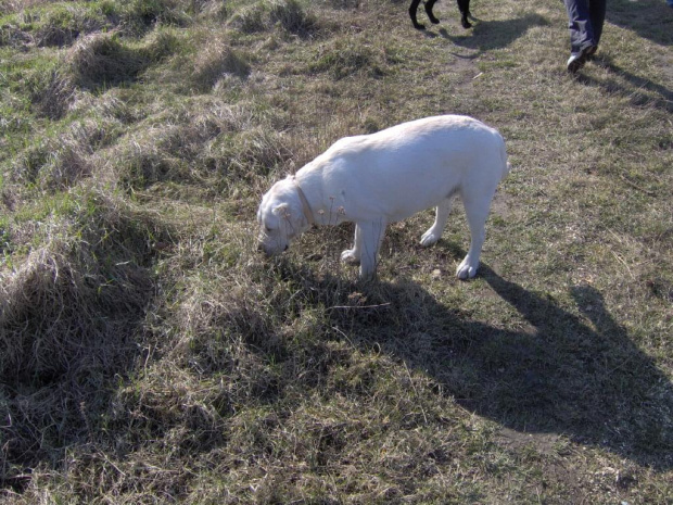 Skrajnica-30.03.2008r.