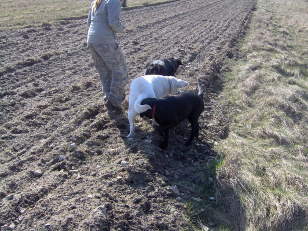 Skrajnica-30.03.2008r.