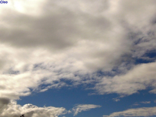 Zbiera sie na deszcz.