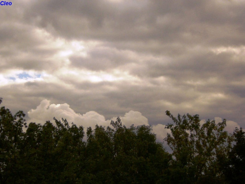 Zbiera sie na deszcz.