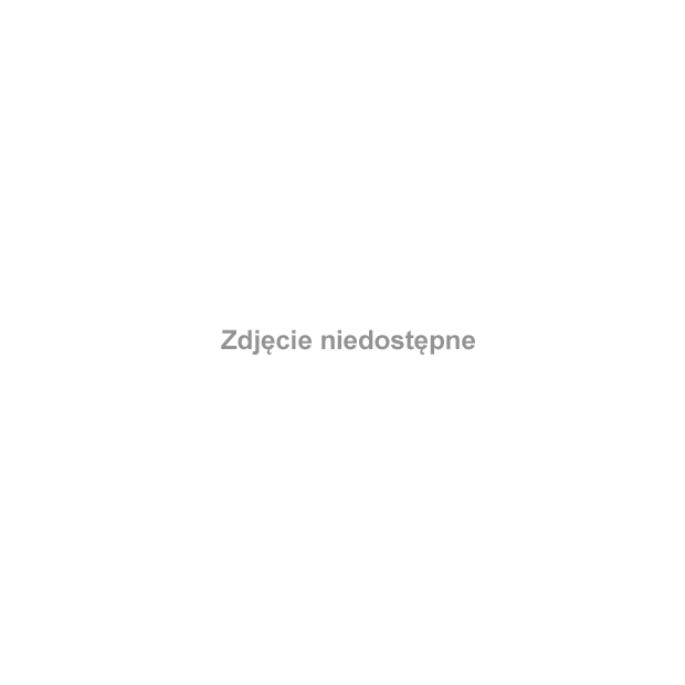 Ma 1,5 m wysokości i 2 m długości, jest sympatyczny i uroczy, choć kiedyś służył do karania. Po 210 latach nieobecności na Rynku Staromiejskim stanął znów pręgierz w kształcie osiołka #POMNIKI