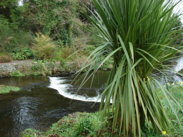 Mount Usher Gardens