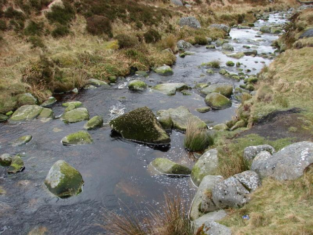 w dolinie Glencree