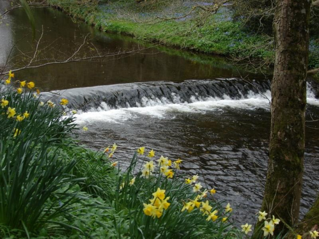 Mount Usher Gardens