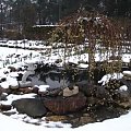 2008 wiosna