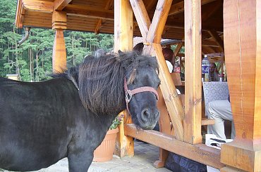 Stoję i stoję kiedy dacie mi coś na ruszt #Ciekawe