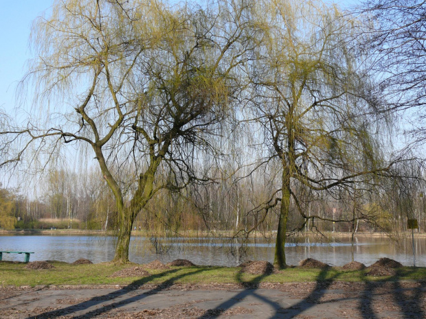 Dolina górnika - wiosna