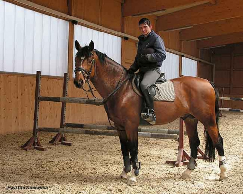 08.04.2008 Łomnica II trening konie na padoku, koty