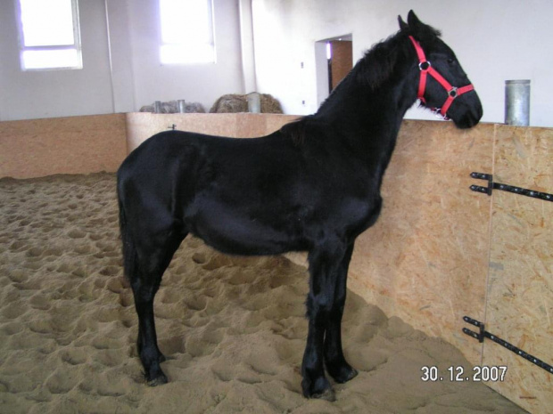 Widar