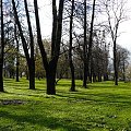 W parku miejskim roślinki budzą się do życia #ParkMiejski #Gdańsk #wiosna #drzewa #trawa