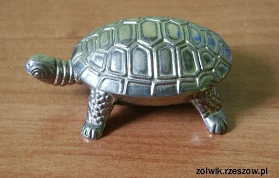 żółwik szkatułka #żółw #żólwik #kolekcja