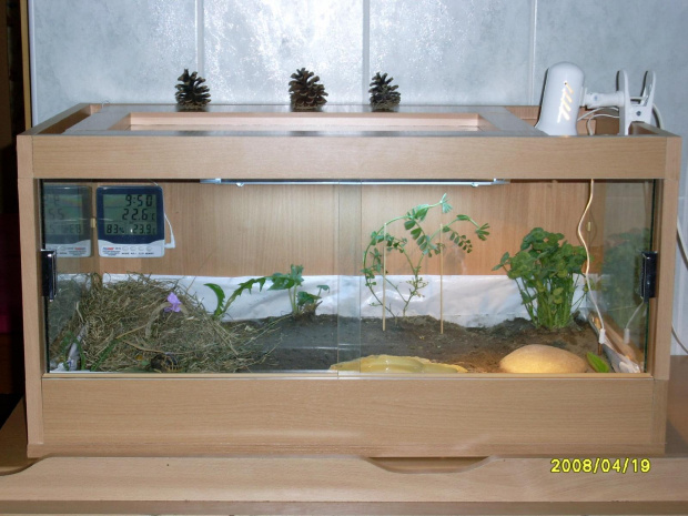 Terrarium