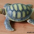 żółwik kiwaczek #żółw #żółwik #kolekcja