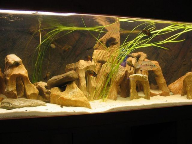 Akwarium 240l