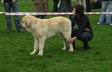 Lublin 2008