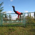 parkour kortowo 2 seria #parkour