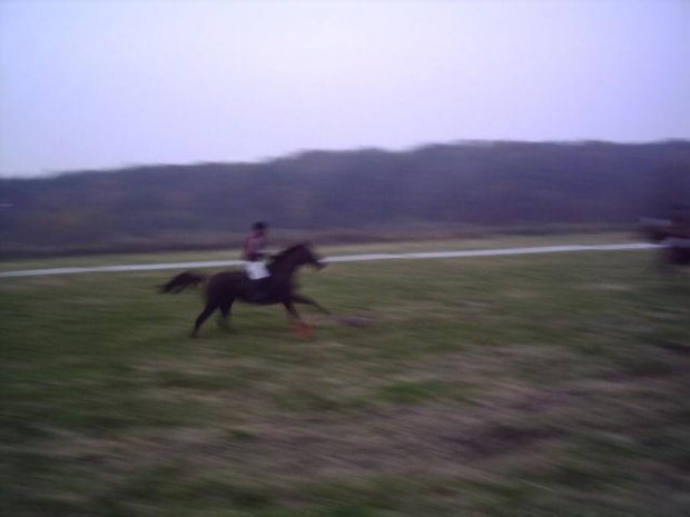 Hubertus 2007-zawody konne-Gallop