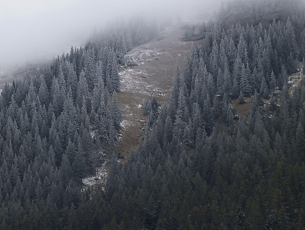 Tatry Niżne