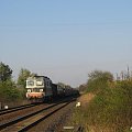 24.04.2008 (Szlak Kostrzyn - Dąbroszyn) ST43-195 z sztywnym z Poznania Franowa dojeżdża do kresu swej podróży.