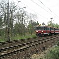 25.04.2008 Szlak Kostrzyn - Namyślin, EN57-1788 + EN57-1787 jako pociąg osobowy z Szczecina Gł, zbliża się do Kostrzyna i końca podróży