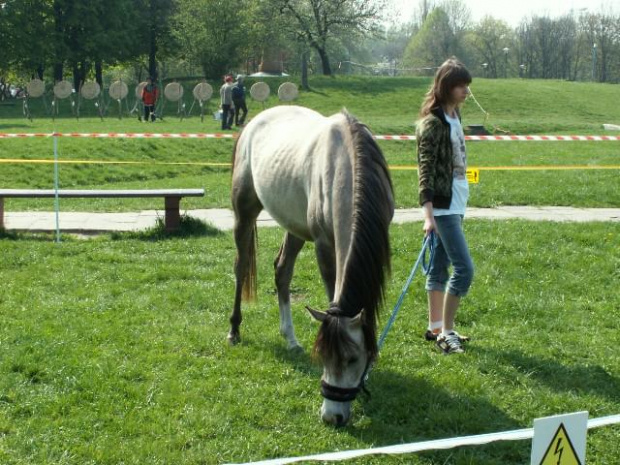 Dzień Ziemi na Polu Mokotowskim. 27.04.2008 rok.