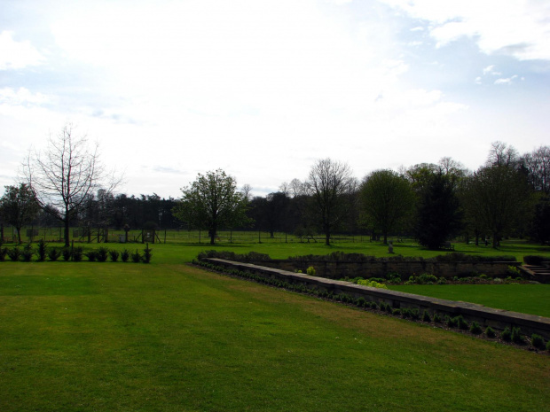 Park w Wielkiej Brytanii #przyroda #natura #krajobraz #drzewa #rośliny #zwierzęta #park #niebo