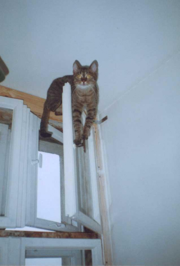 wspinaczka wysokookienna : )