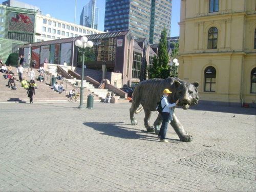 tygrys przed Dworcem Głównym, dziewczynka głaszcze i szepcze mu coś do ucha #Oslo #Norwegia